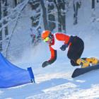 Die 6 Buchstaben Lösungen SLALOM