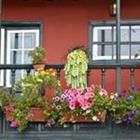 Die 6 Buchstaben Lösungen BALKON