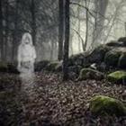 Ghost in Wald