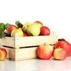 Volle Schachtel von Äpfeln