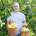 Ein Mann mit zwei Körbe mit Äpfeln