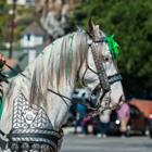 Die 6 Buchstaben Lösungen PARADE